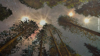 Hudson Valley UFO Incidents / Out-of-Body Insights