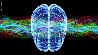 Neuroscience & Criminal Justice