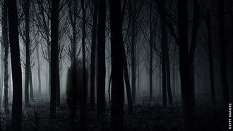 Investigating the Anomalous / Strange Tales