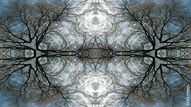 Numerology/ Psychedelics & Consciousness