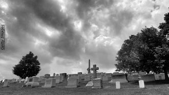 Entity Attack/ Open Lines