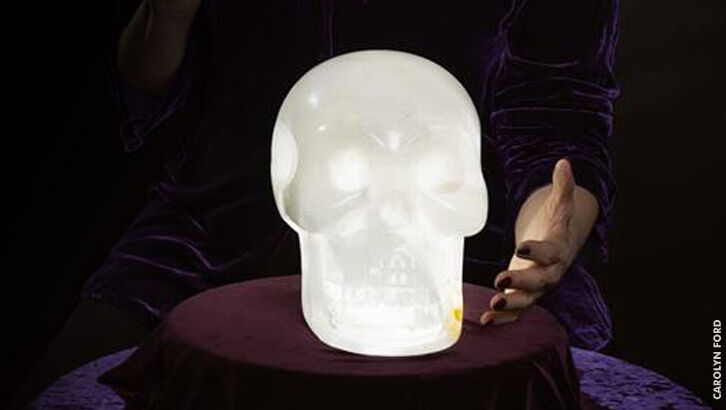 Einstein the Crystal Skull