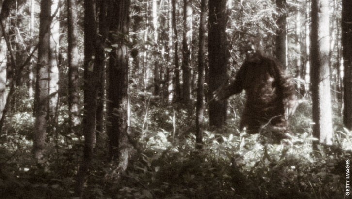 Bigfoot Folklore & Forensics