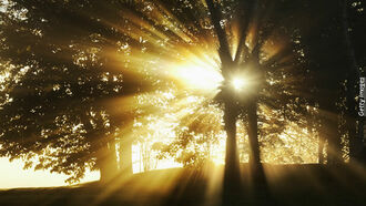 Space Signals / Sunlight & Health