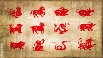 Alternative Health/ Chinese Astrology & Current Events