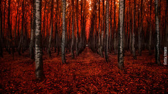 Travel & the Paranormal/ Open Lines