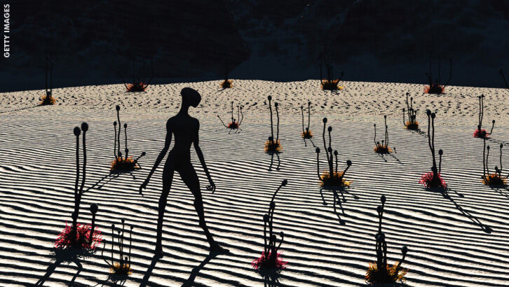 Paranormal Offerings/ Strange Accounts