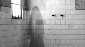 Celebrity Ghost Cases / Sensing Magnetic Fields