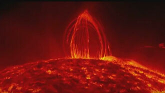 Solar Flares, Cancer Treatments, & Noah's Ark