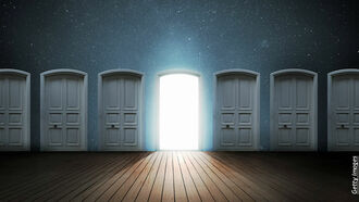 Turmeric Studies / Afterlife Revolution