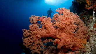 Climate Change & Environment/ America's Stonehenge