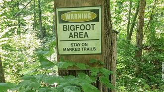 Bigfoot Footage & Encounters