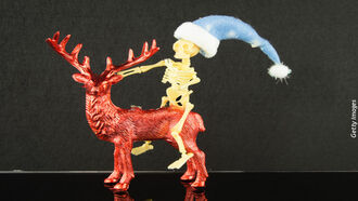 Aerial Spraying/ Origins of Christmas