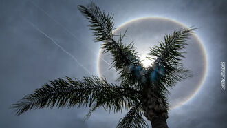 Weird and Freaky Florida / Open Lines