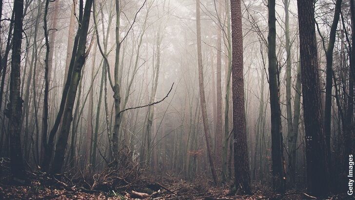 Forest Predator/ The Unexplained