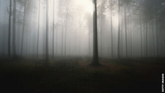 Strange Disappearances/ Japanese Mythology