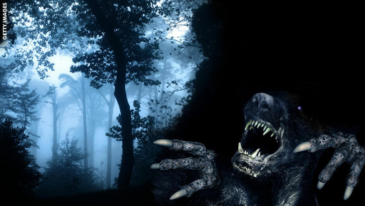 In Search of the Chupacabra