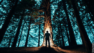 Alternative Health/ Psychic Profiler