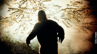 Crisis Health Tips / Florida Cryptids