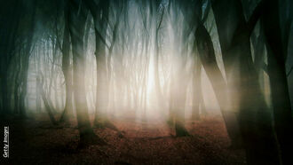 Haunted Heartland & Ghostly Love Stories