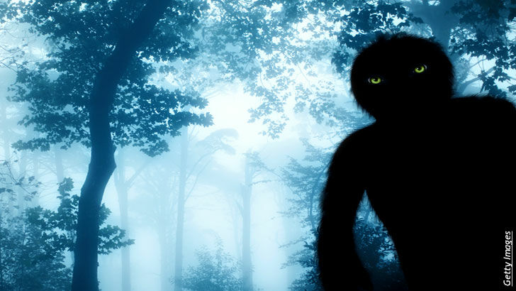 Rethinking Sustainable Development/ Bigfoot Sightings