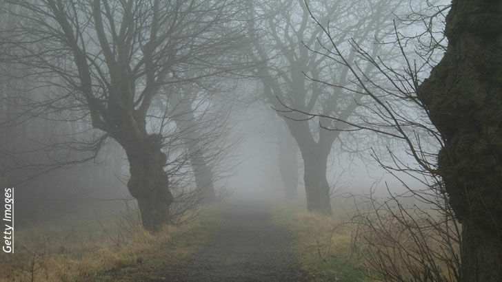 Ian Punnett Update/ Open Lines