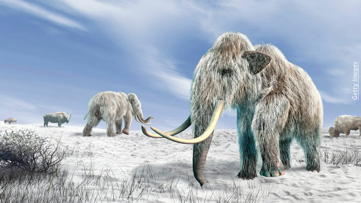 Reviving the Woolly Mammoth/ Ancient Explorers in America