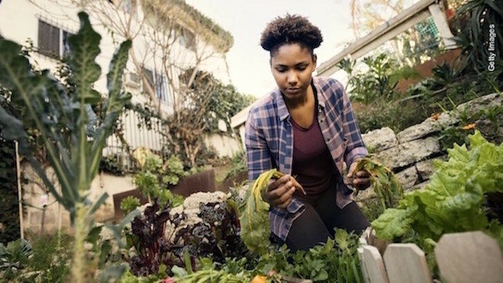 Urban Farming