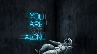 Vertical Image Show Test