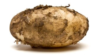 Video: 17-Pound Potato Unearthed in New Zealand May be Largest Ever Found